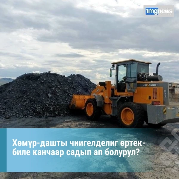 ✍Амгы үеде Тывада 36 одаар чүүл шыгжамырының 19-зу ажылдап турар. Республиканың кожуун,...