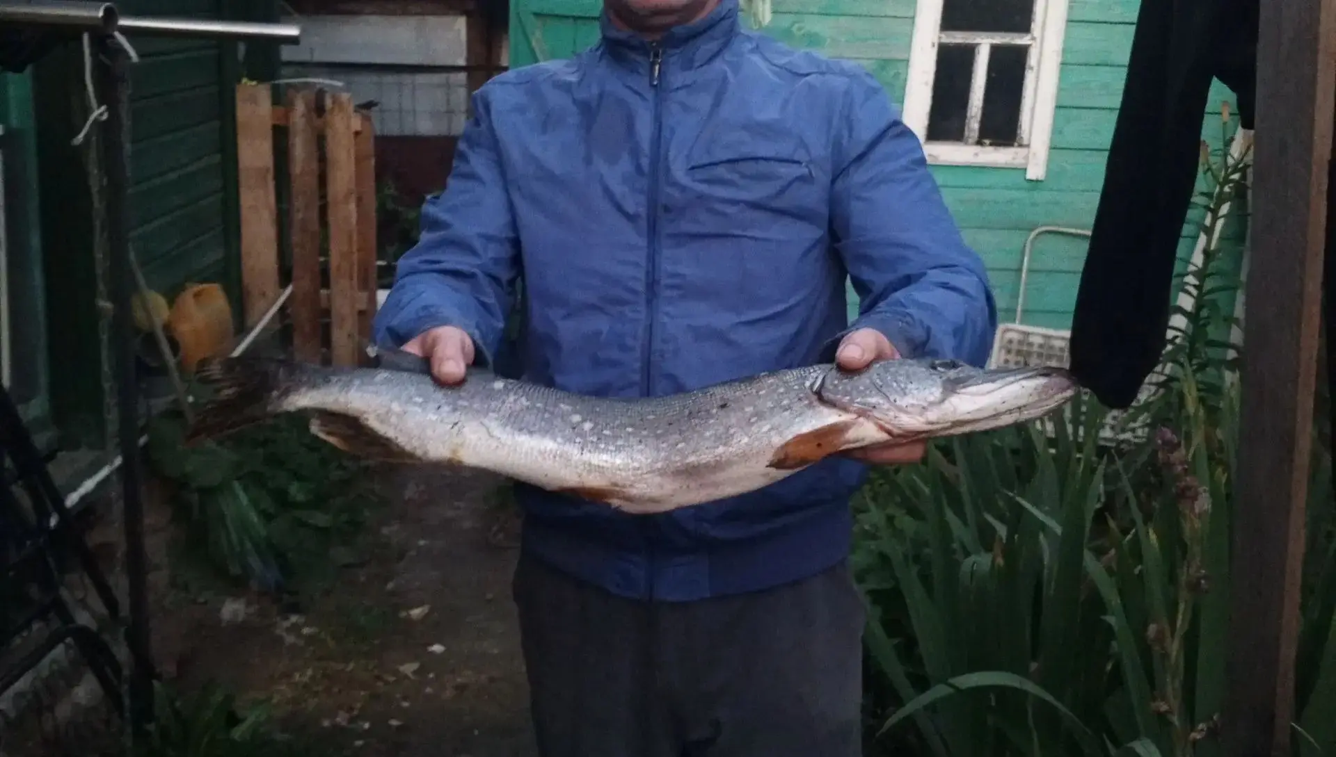 Локо , утро, длинная писец , первый раз такую поймал😁