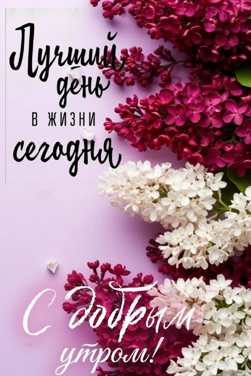 Открытки: подписаться ❤️