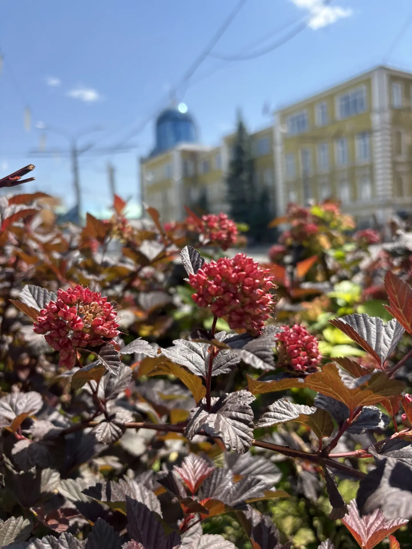 Доброе утро ☀️