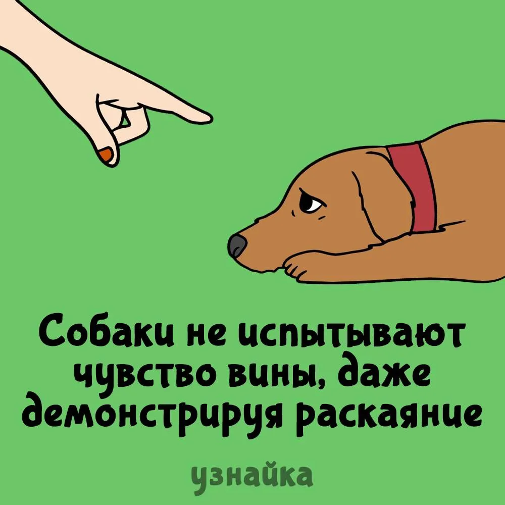 Сломали мой мир🥲
Узнайка