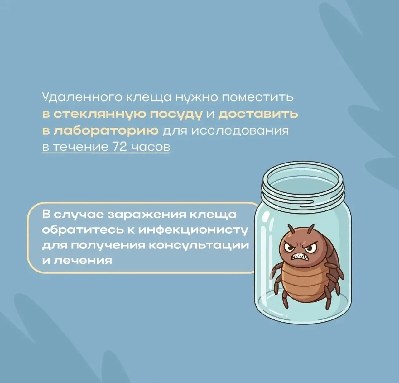 Клещи уже активны: в Татарстане зафиксированы первые случаи укусов клещей