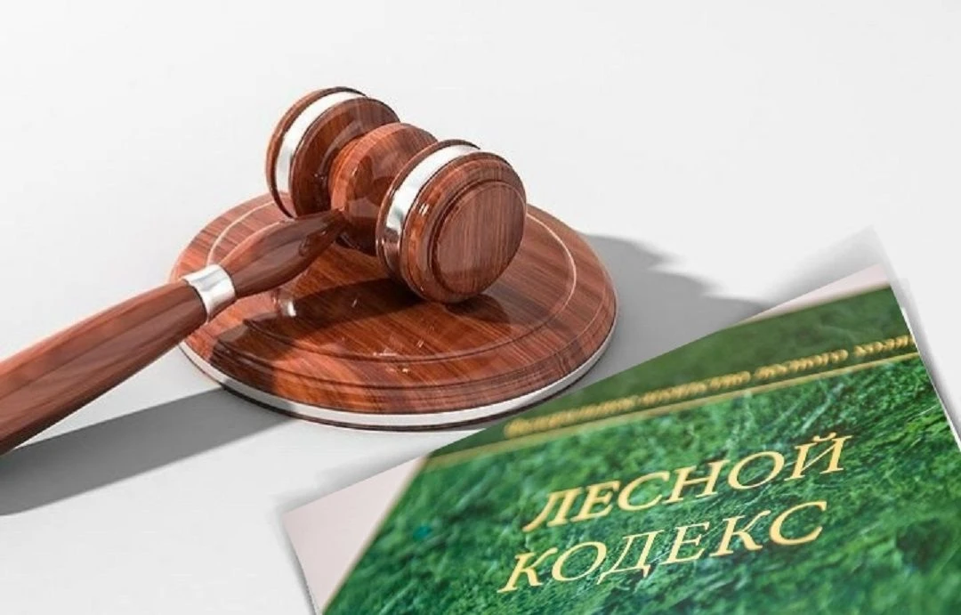 Работа по взысканию задолженности продолжается.