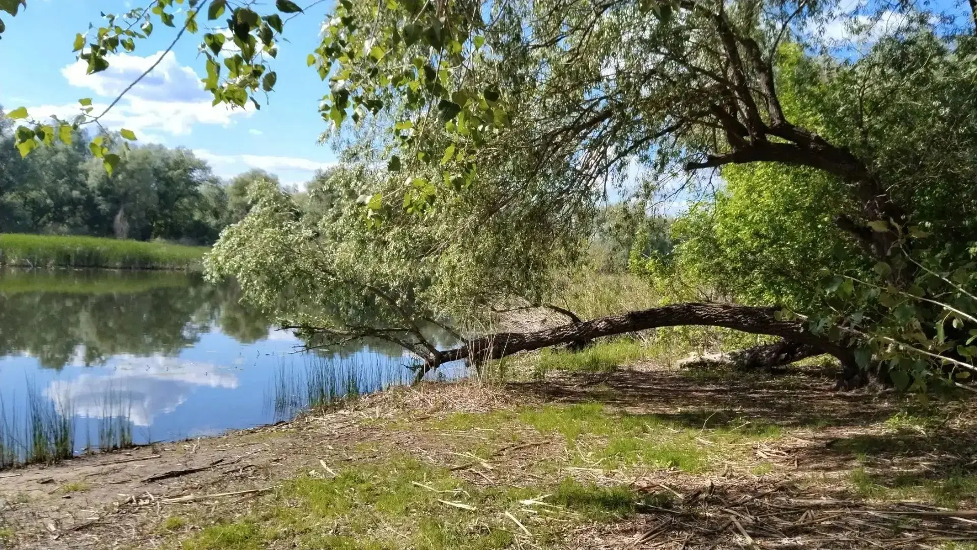 📌Участие в фотоконкурсе "Волго-Донской край сквозь объектив" 

🌲🌸 Молоканова Елизавета, обучающая