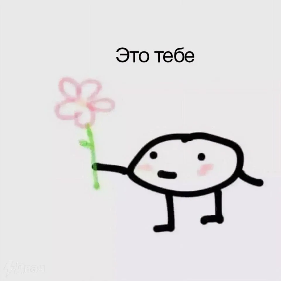 ПЕРВЫЙ МЕМНЫЙ
