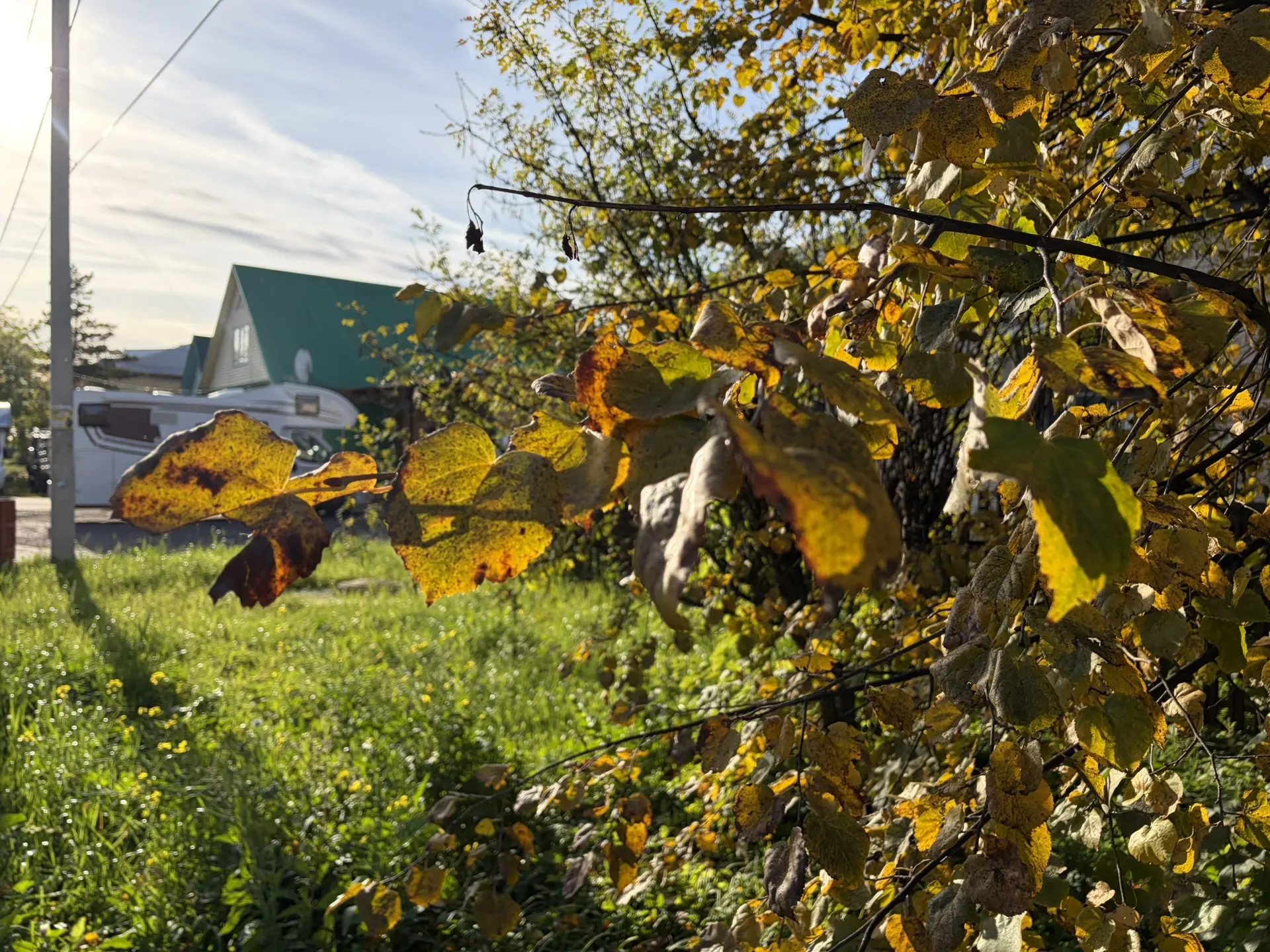 🍂 Прогноз на выходные в Болотном: осень диктует свои правила
