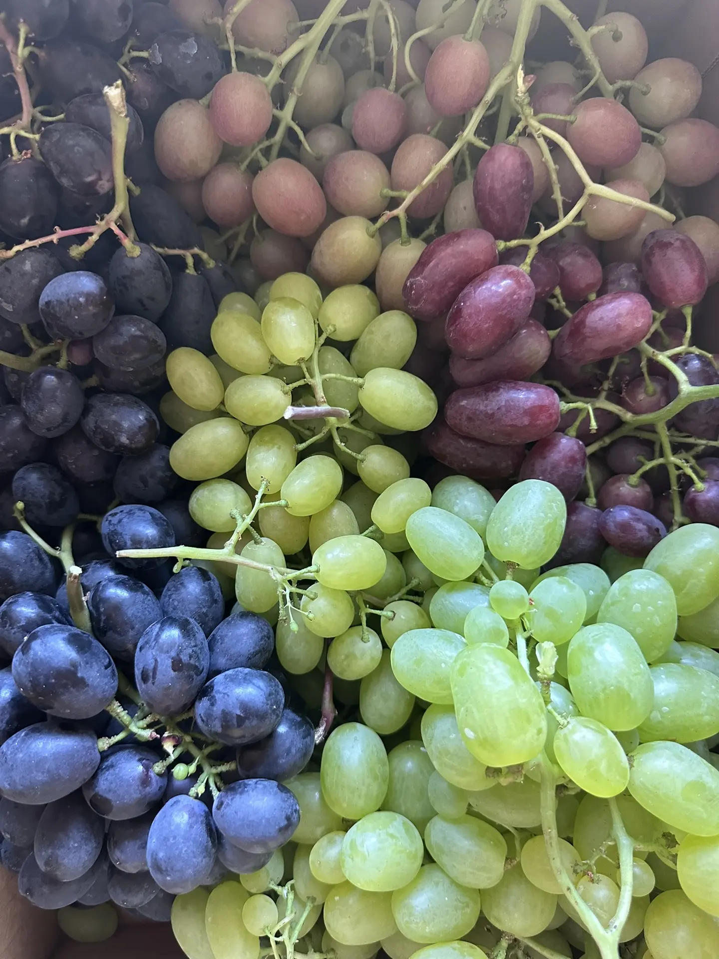 🍇 Продлеваем День винограда до субботы!