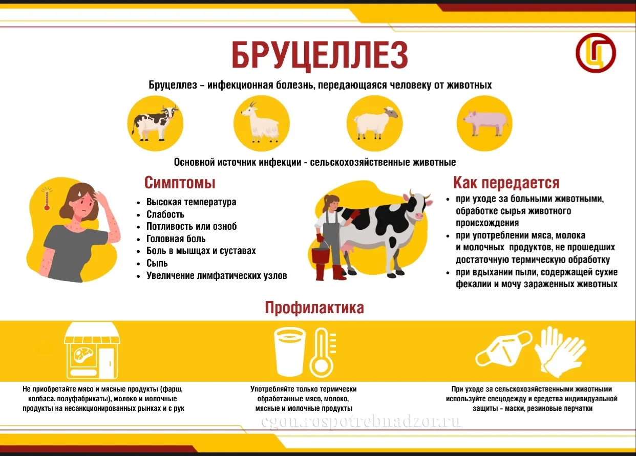 🐾 Как защитить ребёнка от инфекций, которые передаются от животных

ФБУЗ «Центр гигиены и эпидемиол