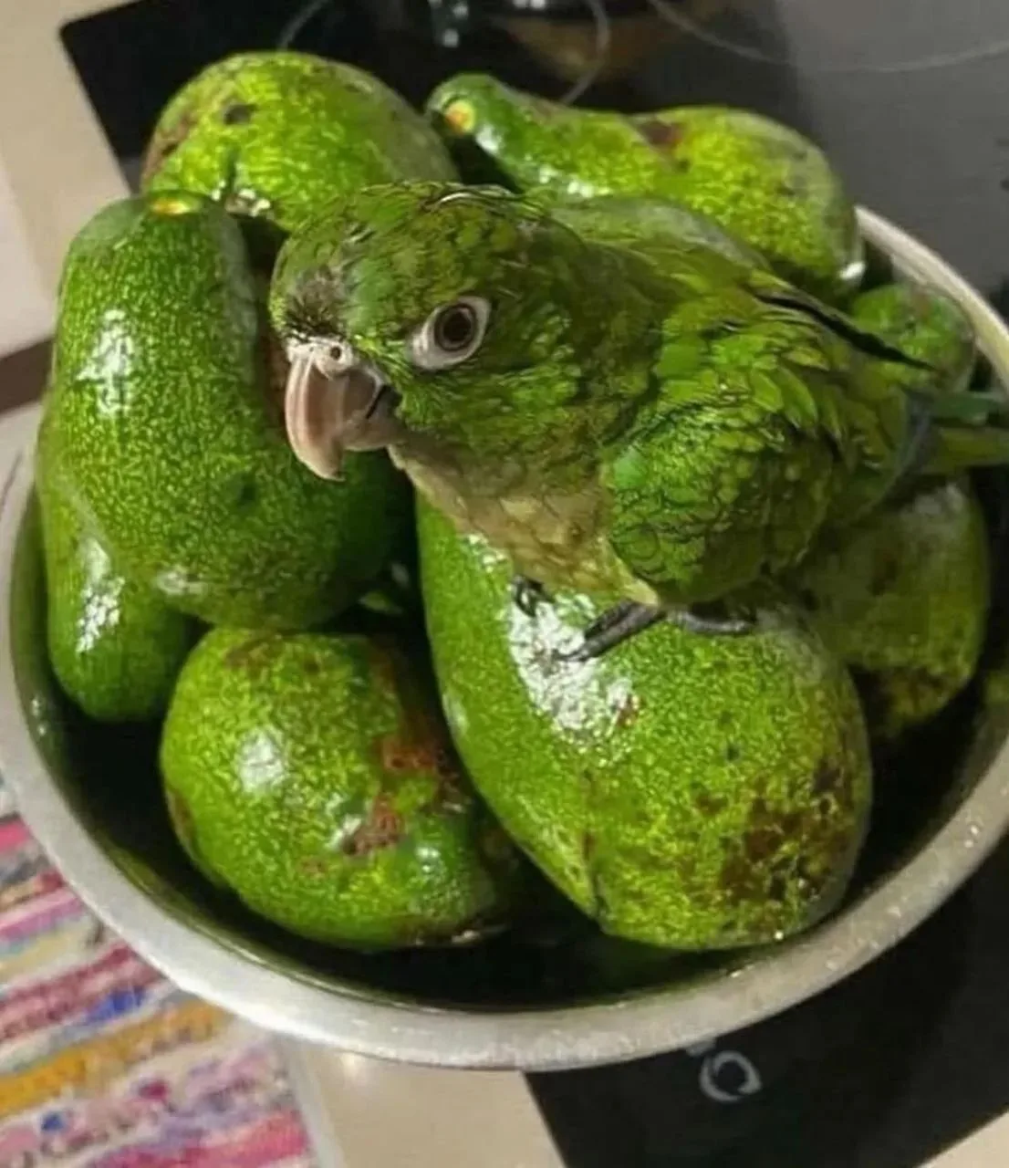 Мастера маскировки