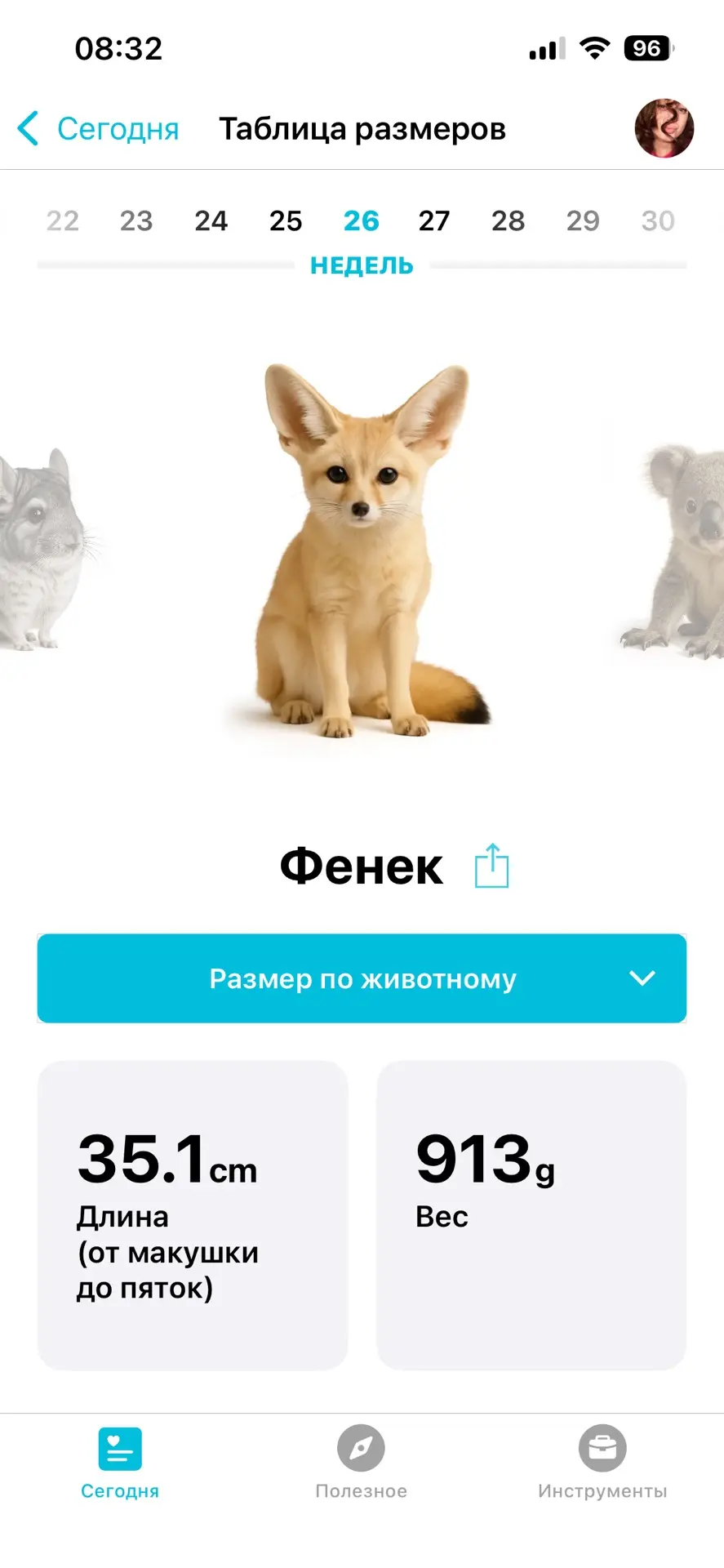 Сегодня ровно 26 недель! Кажется, только вчера мы узнали две полоски, а теперь наша мал...
