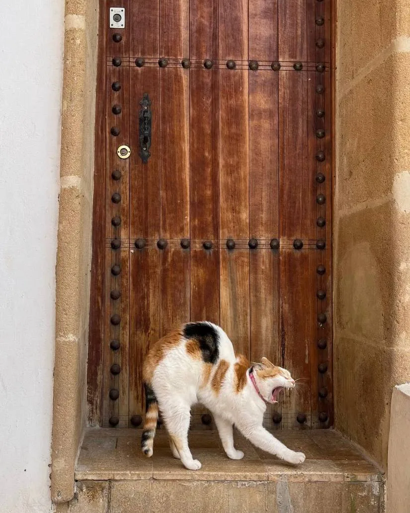🇲🇦 Яркие краски Марокко + отдых на пляжах Агадира 🌅