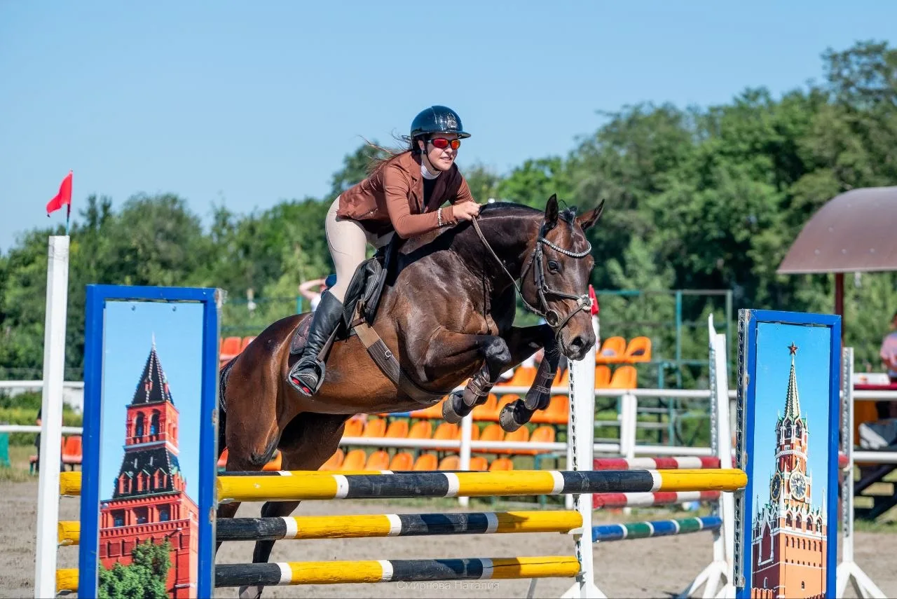 🏇 В РГБУ ДО «СШ по конному спорту» прошли соревнования по конному спорту