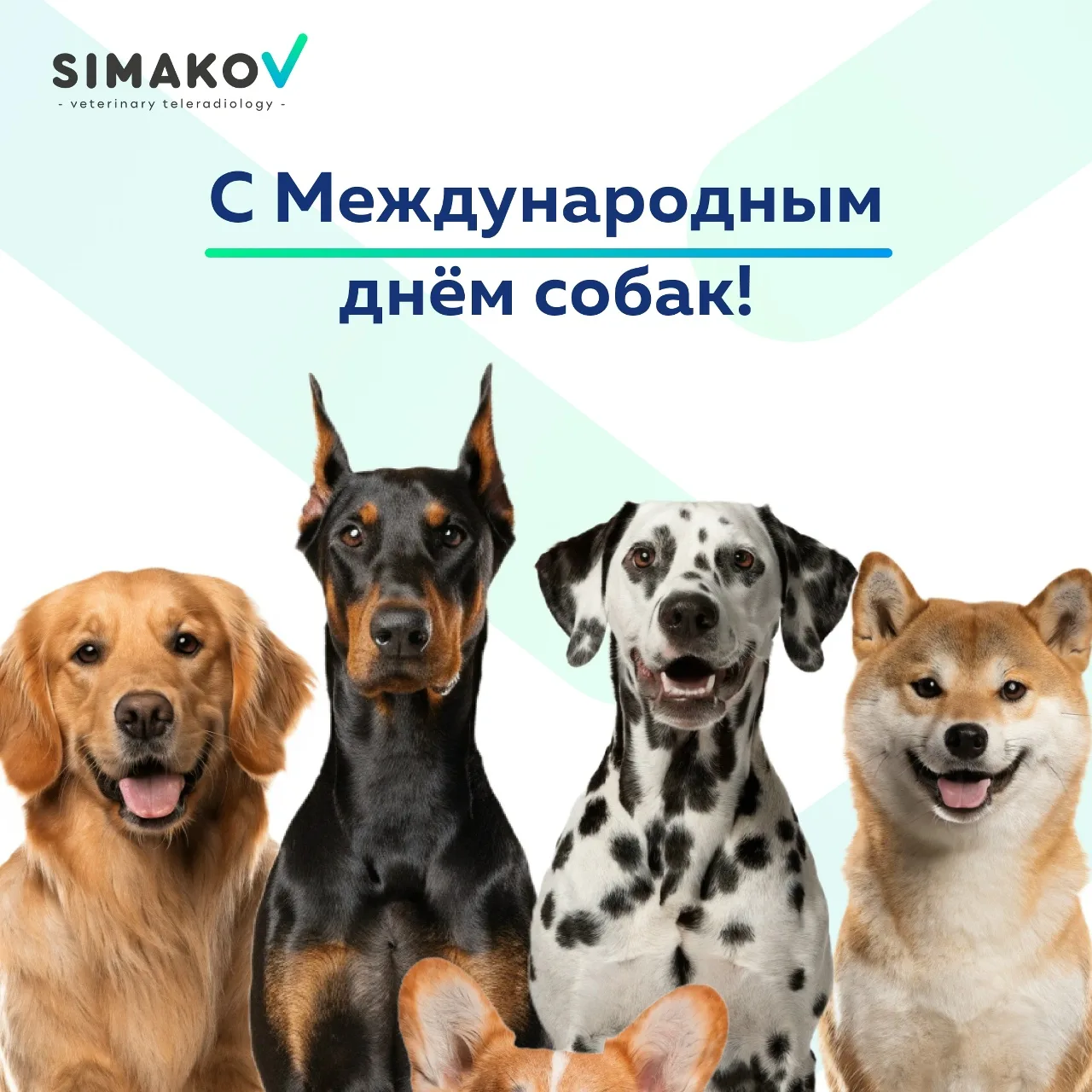 🥰 Сегодня отмечаем Международный день собак!