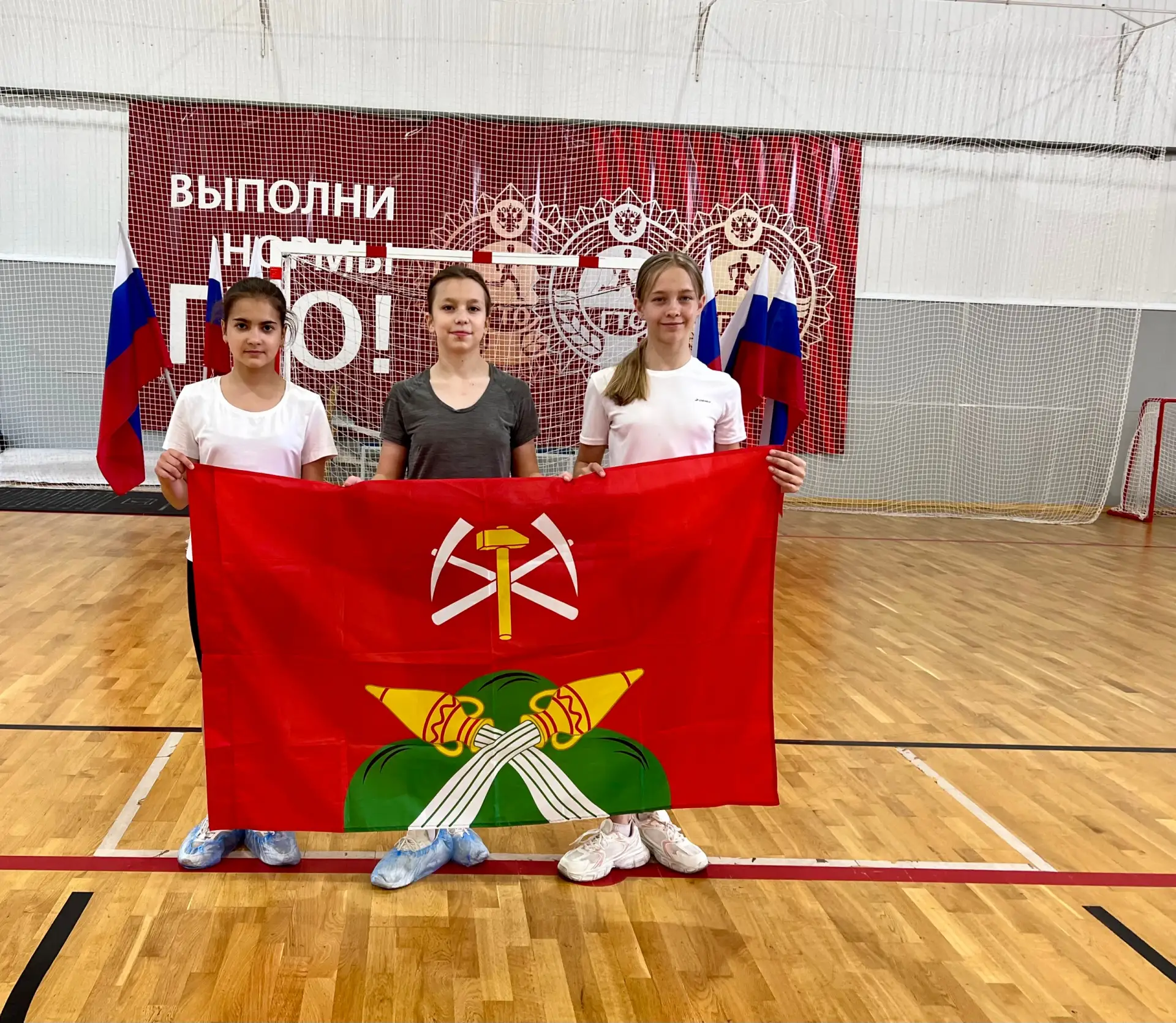 Региональный фестиваль ВФСК ГТО среди обучающихся образовательных организаций Тульской ...