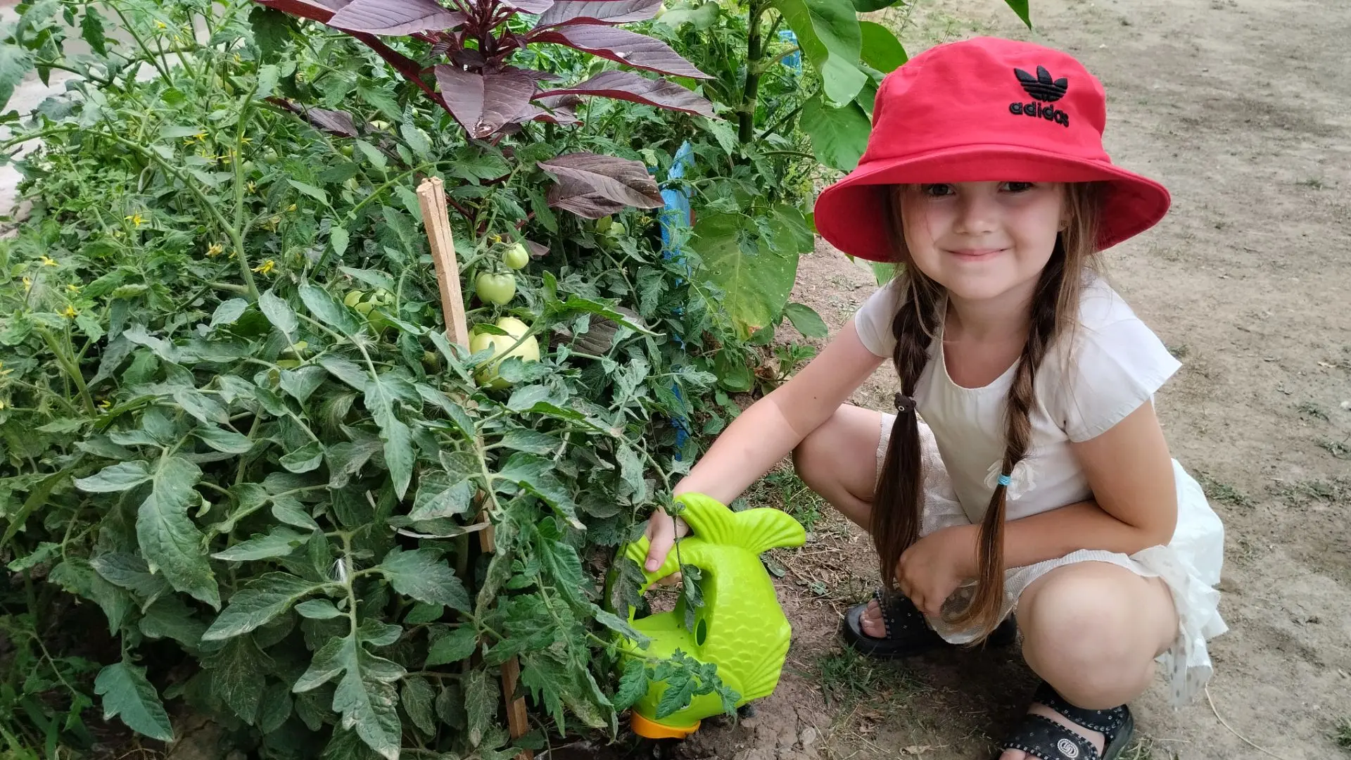 «Есть у нас свой огород» 🍅🫑🥒🧅