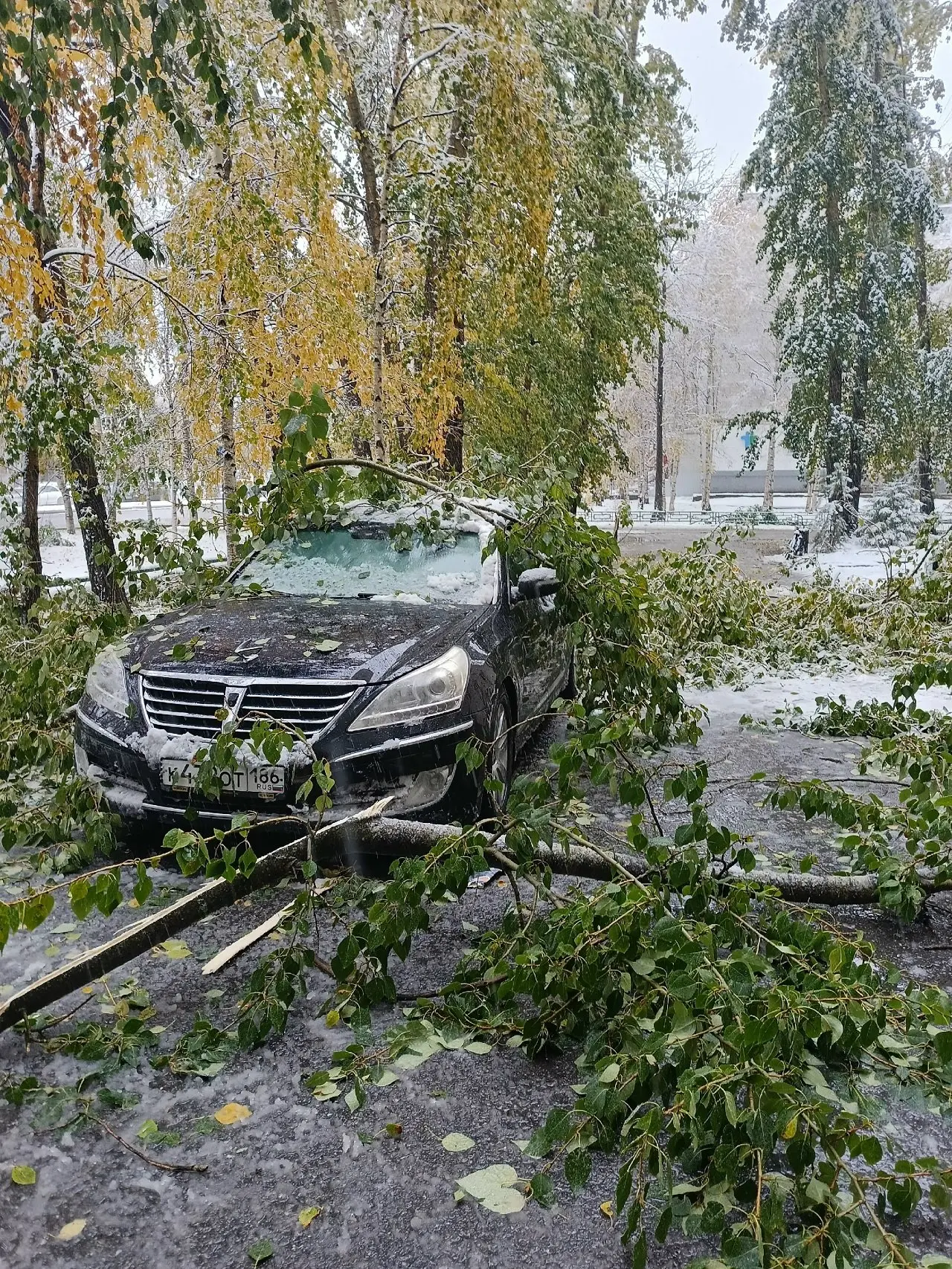 Пишет читатель: