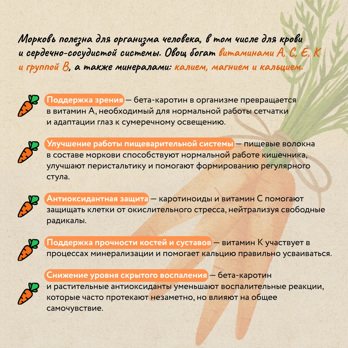 День моркови: праздник оранжевого корнеплода и его польза для доноров  🥕 Морковь — не только вкусный