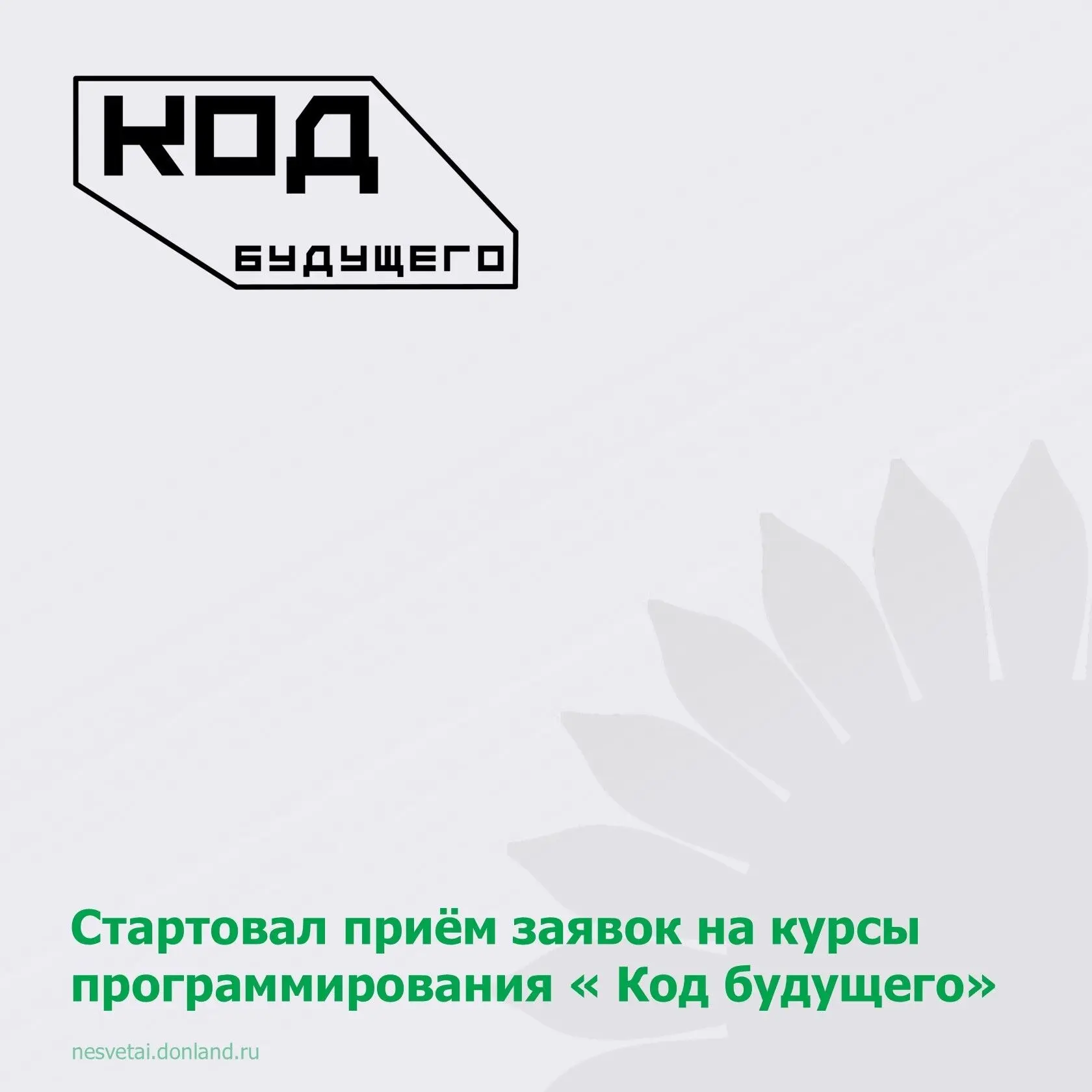 На портале «Госуслуги» стартовал приём заявлений на бесплатные курсы по программировани...
