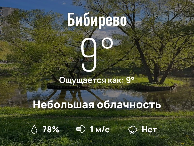 Что с погодой в Бибирево?