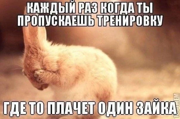 Твой план на сегодня: сначала жарко, потом — кайфово!💪🏼✨
