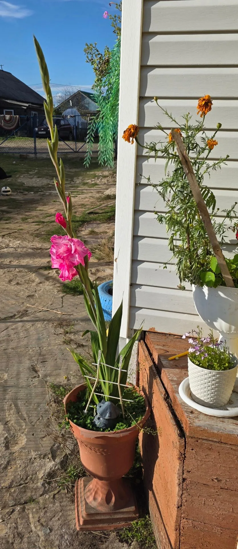 Сегодня подсмотрено в лентах односельчан.