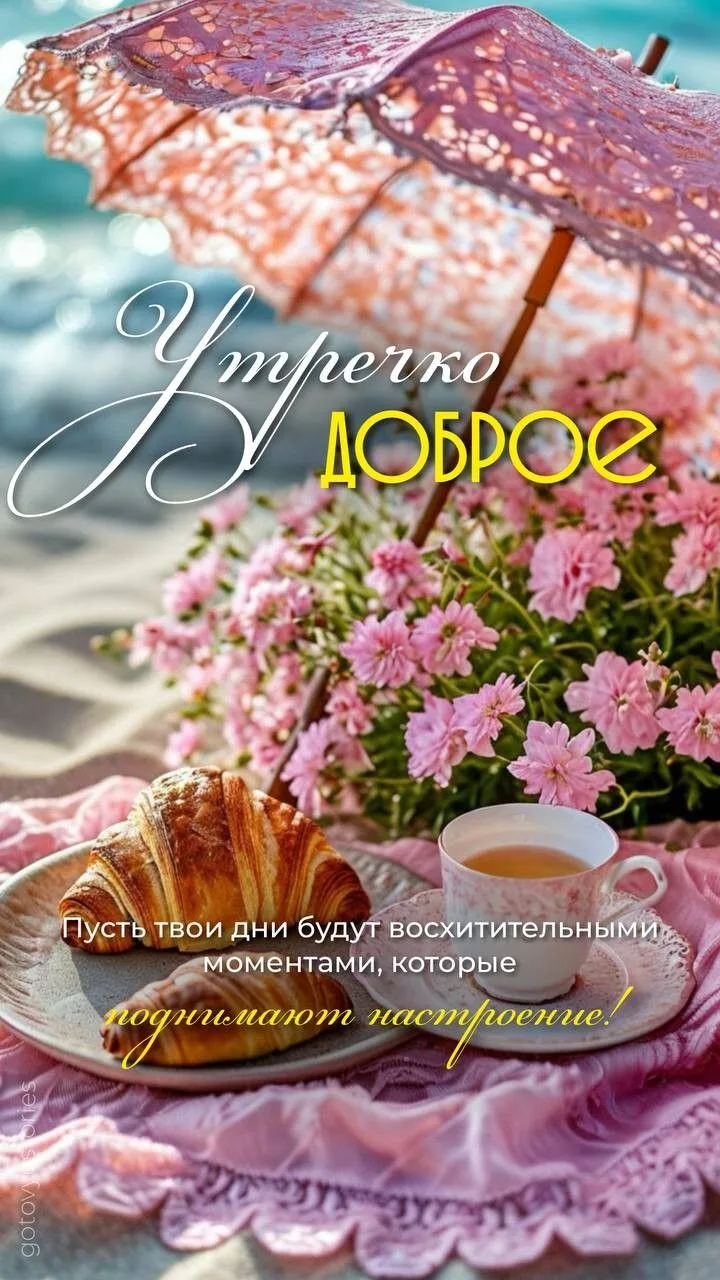 https://max.ru/invista123456