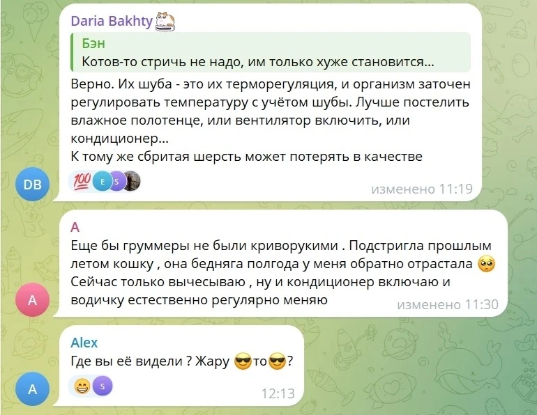Тюменцы массово готовят своих питомцев к жарким денькам. А котиков тоже стричь?

Стрижка у грумера, 