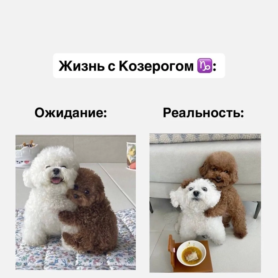 Жизнь со знаками зодиака, часть 2  Если согласны с постом, оставляйте реакцию ❤️  Астрология | Подпи