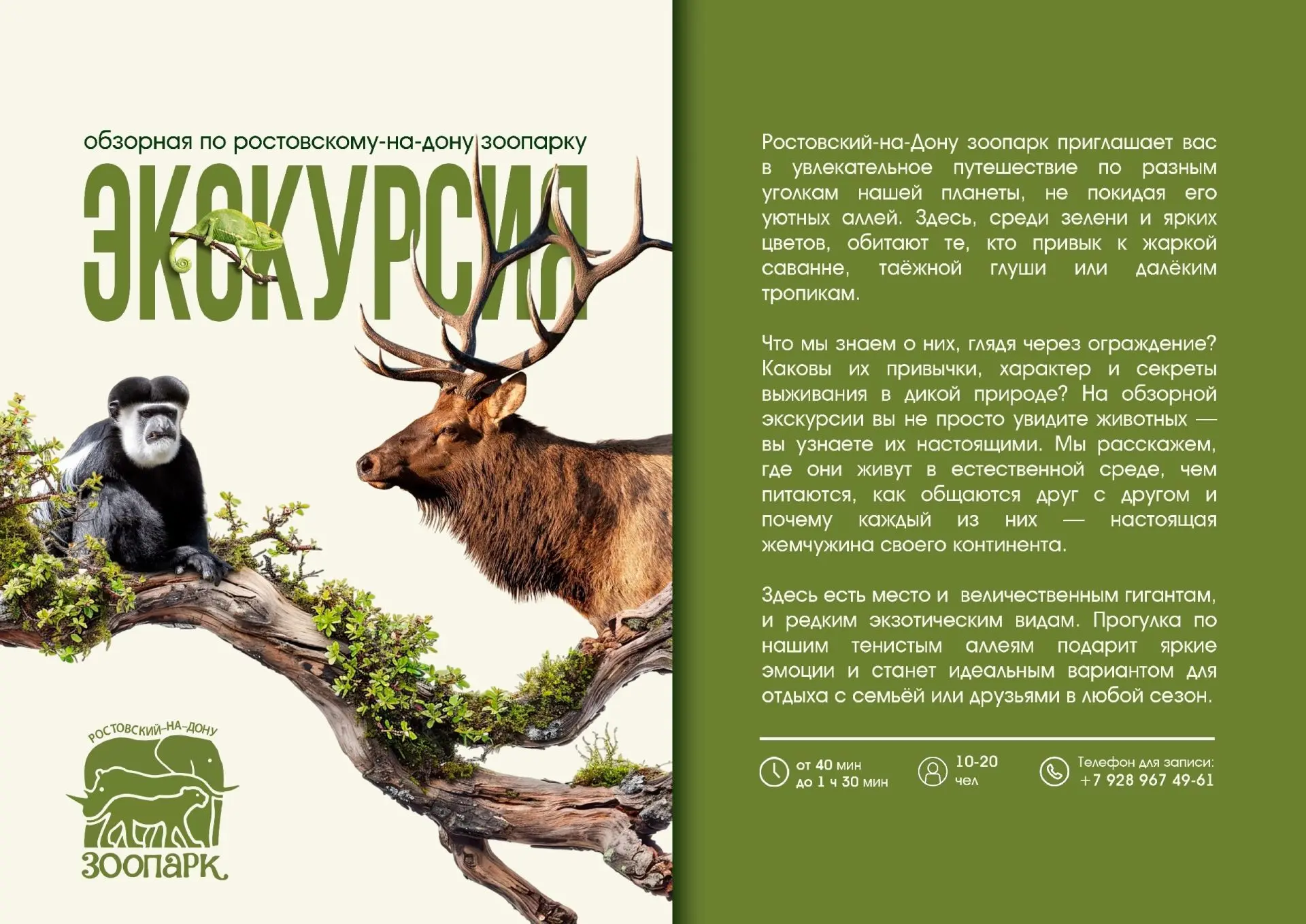 😍 Осень - время увидеть зоопарк по-новому!