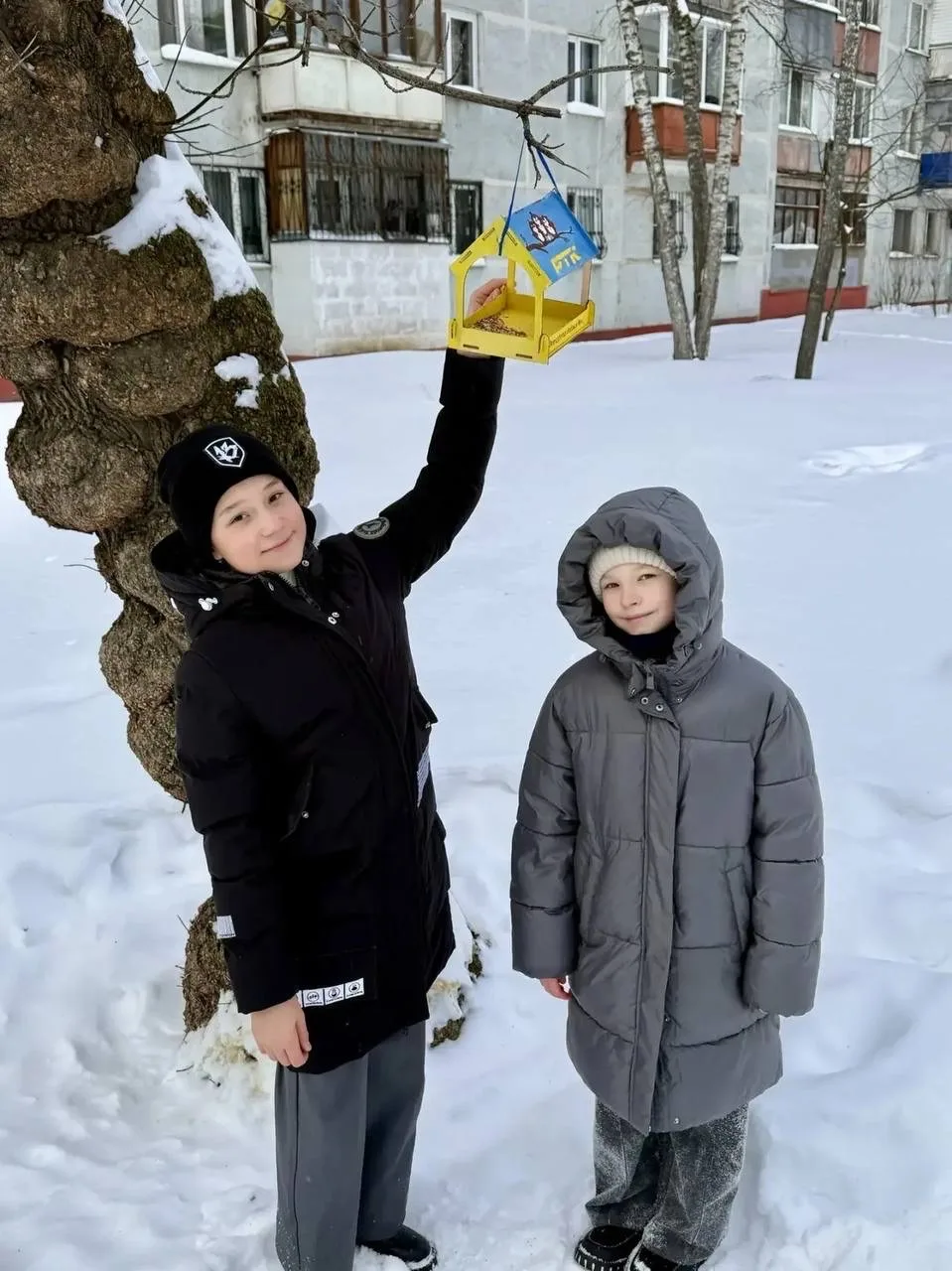 🐣Юные эколята школы принимают участие в региональной акции «Покорми птиц» 🐦В рамках Акции проходят м