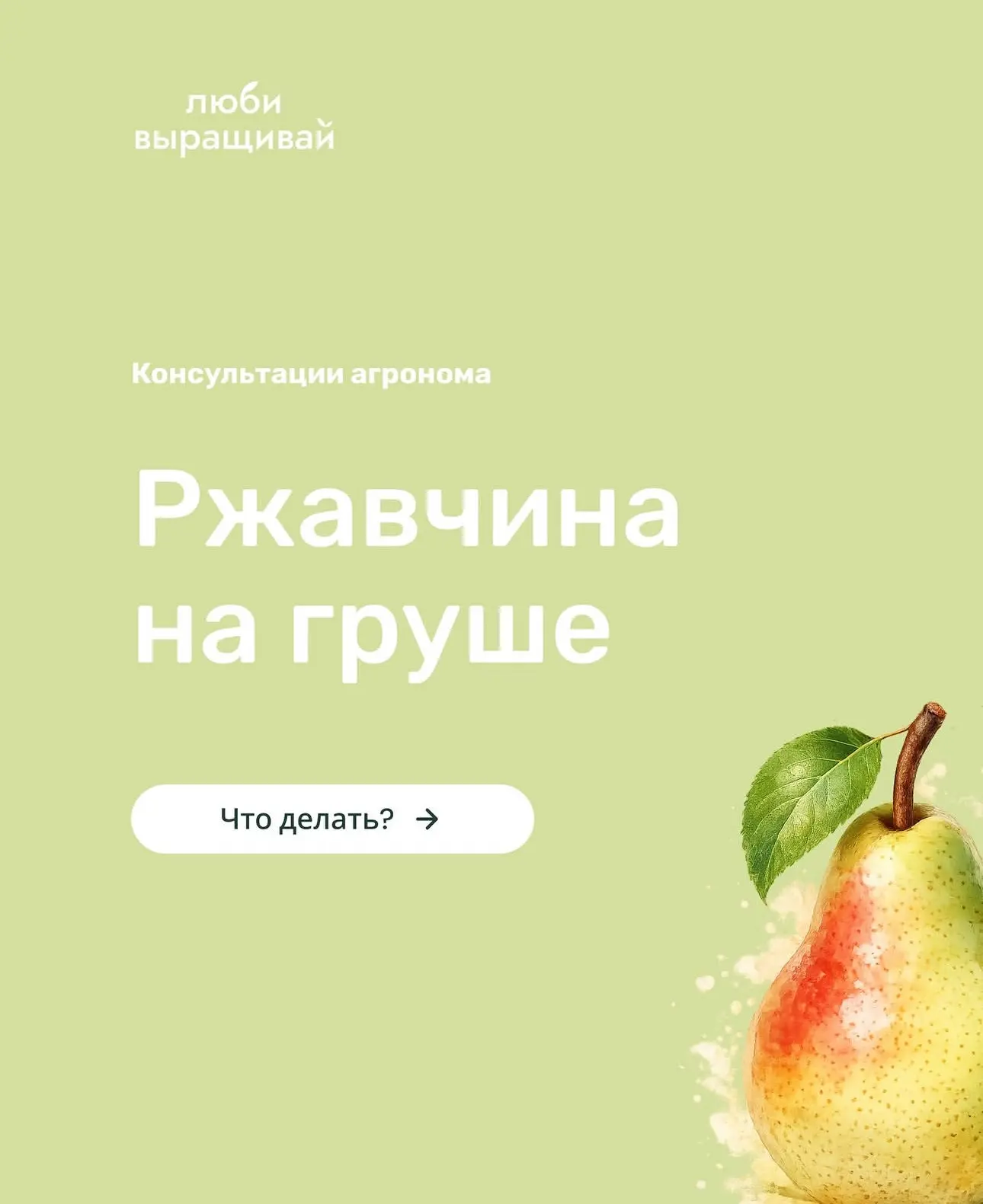 Изображение 1 к публикации «Люби, выращивай!»