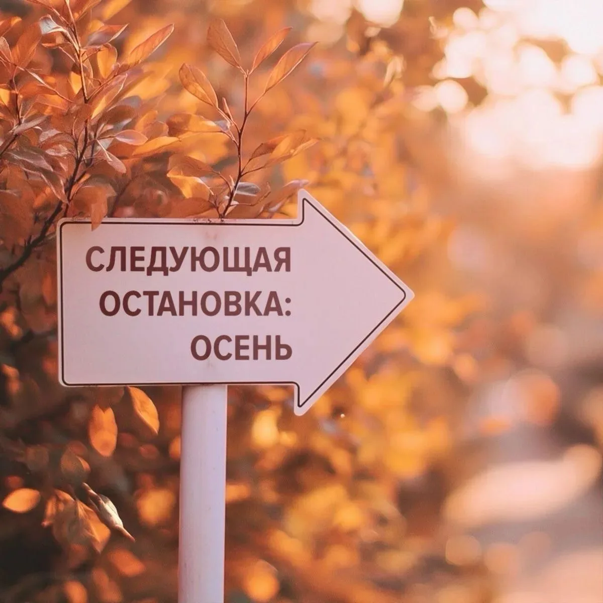 Последние часы когда эта дверь еще открыта!