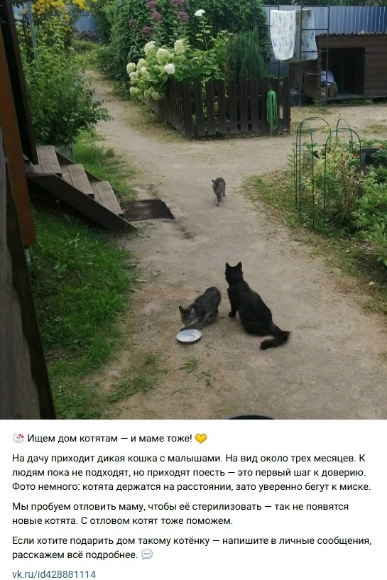 Пост добра. Распространите, пожалуйста 😊