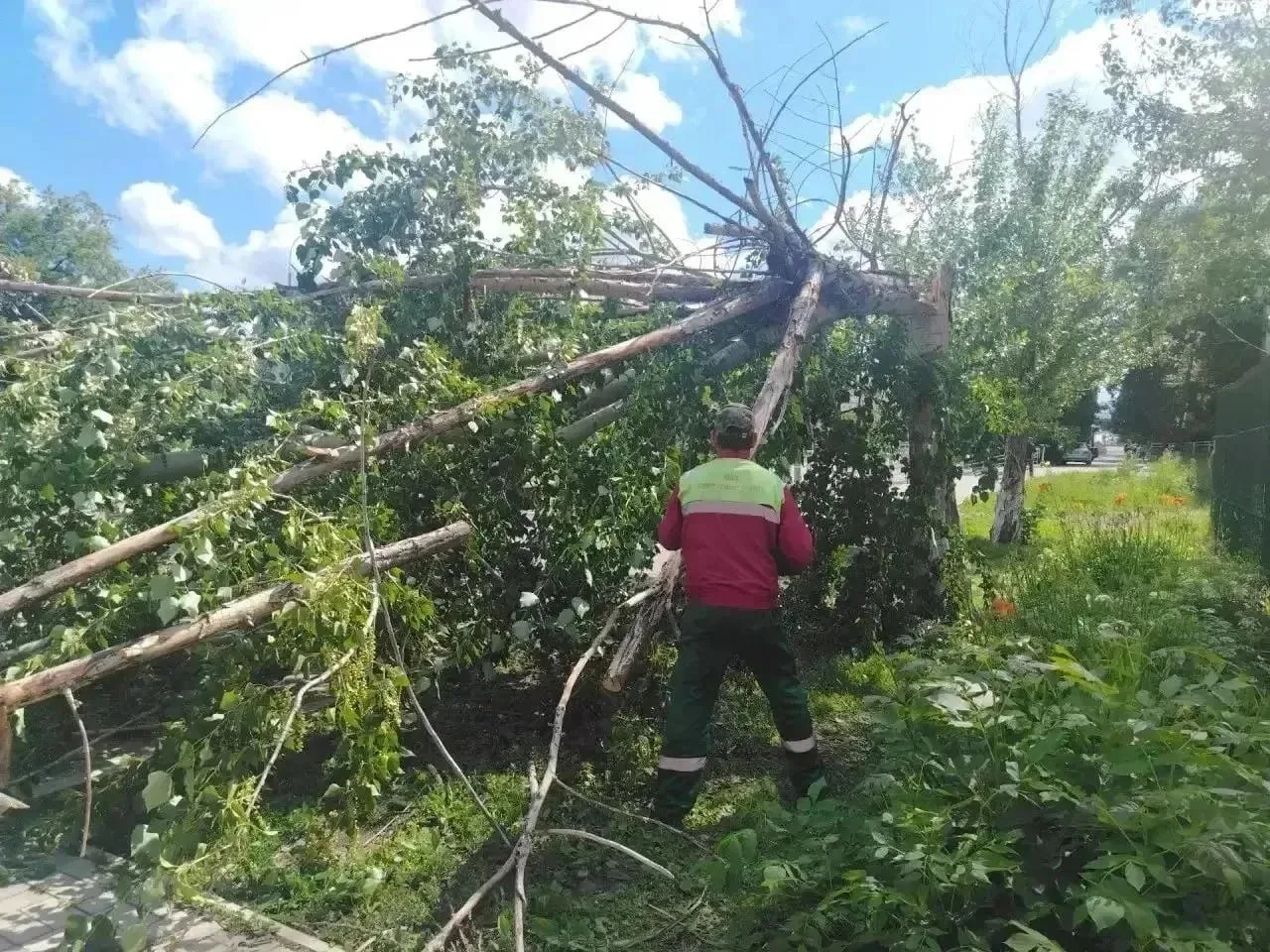 🌪️В Уфе вчерашняя буря повалила деревья и повредила машины

Вчера в Уфе ураганный ветер валил дерев