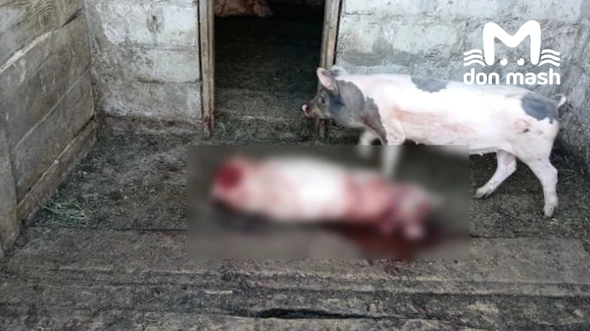 Кажется, найдена причина долгого отсутствия горячей воды у жителей ЗЖМ в Ростове. Это н...