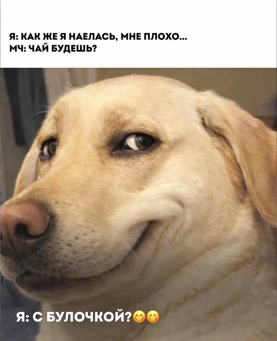Дурилка картонная