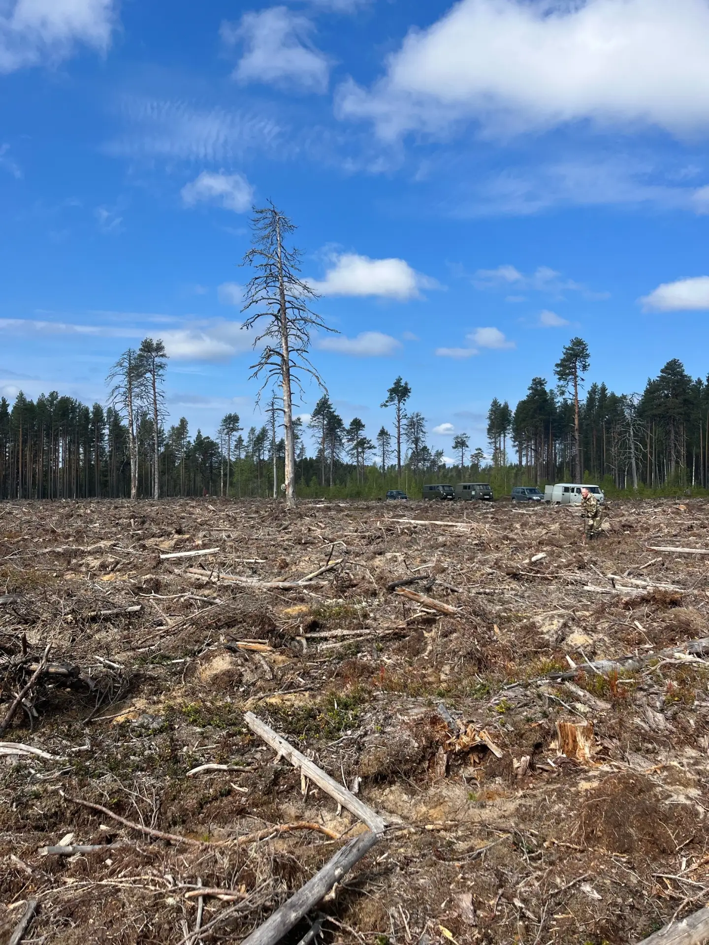 🌱15 мая 2026 года сотрудники ГКУ РК "Кондопожское центральное лесничество" приняли уча...