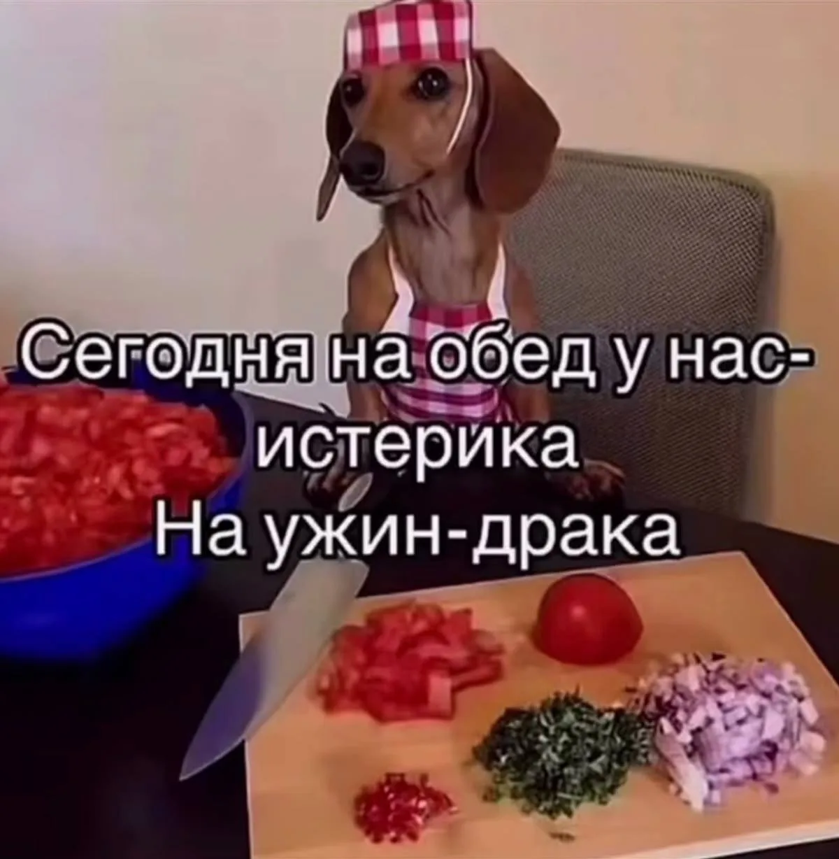 🥲Каждая третья россиянка специально портила еду своего партнера во время ссоры, — опрос.