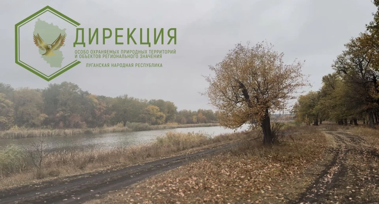 Опавшая листва: убирать или оставить? Разбираемся вместе!