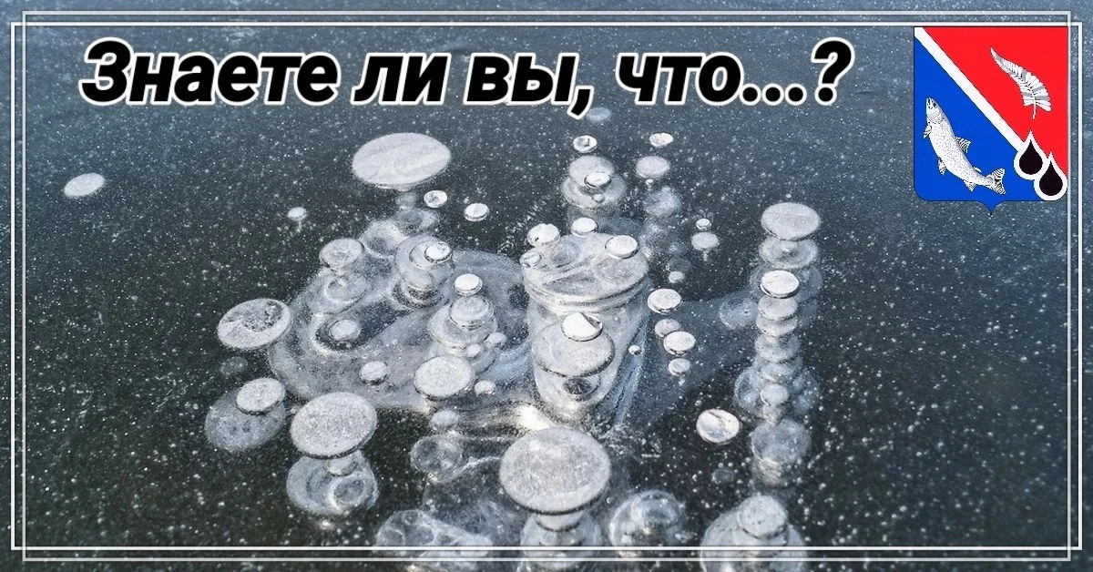 Земля болотного газа💨