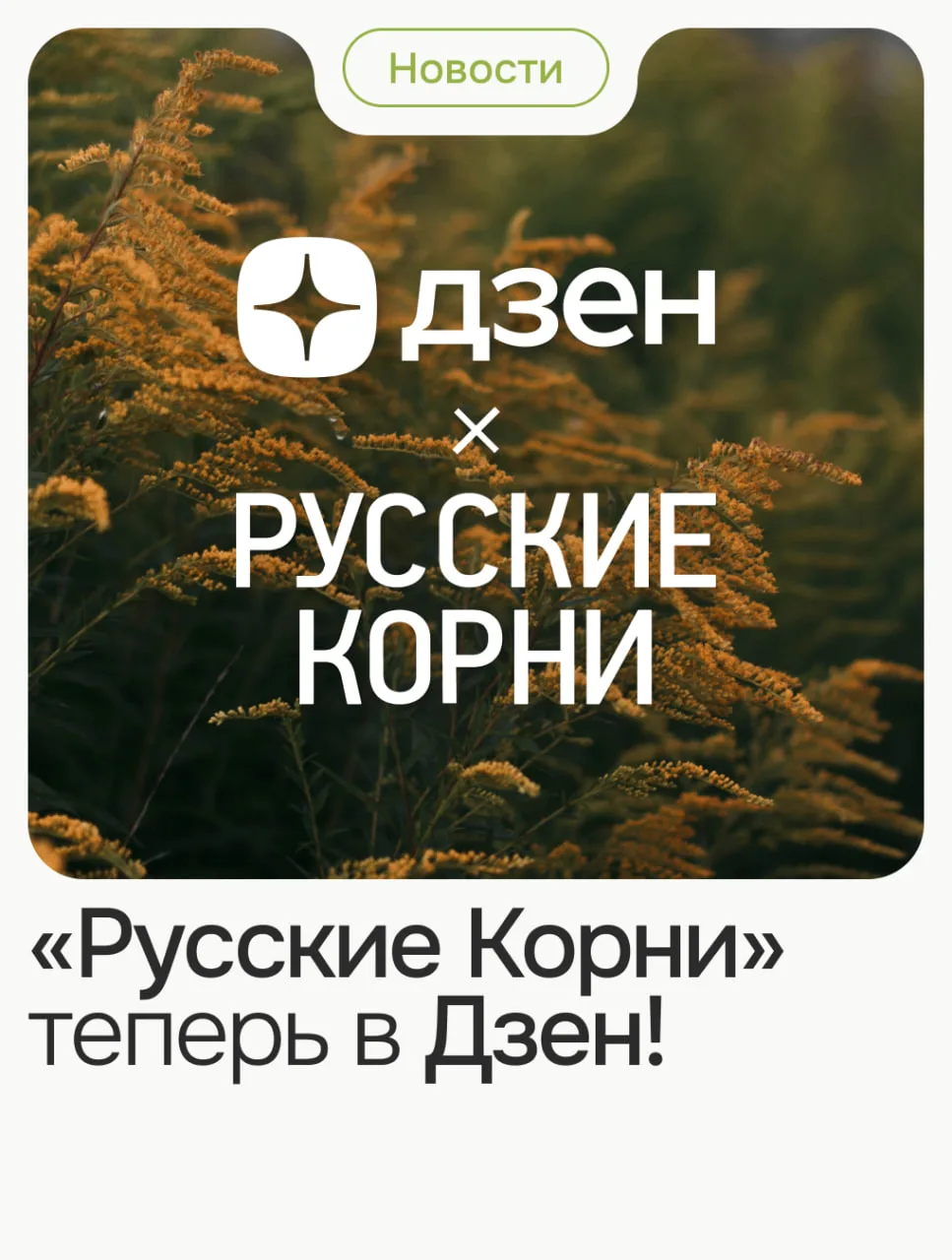 «Русские Корни» теперь в ДЗЕН!