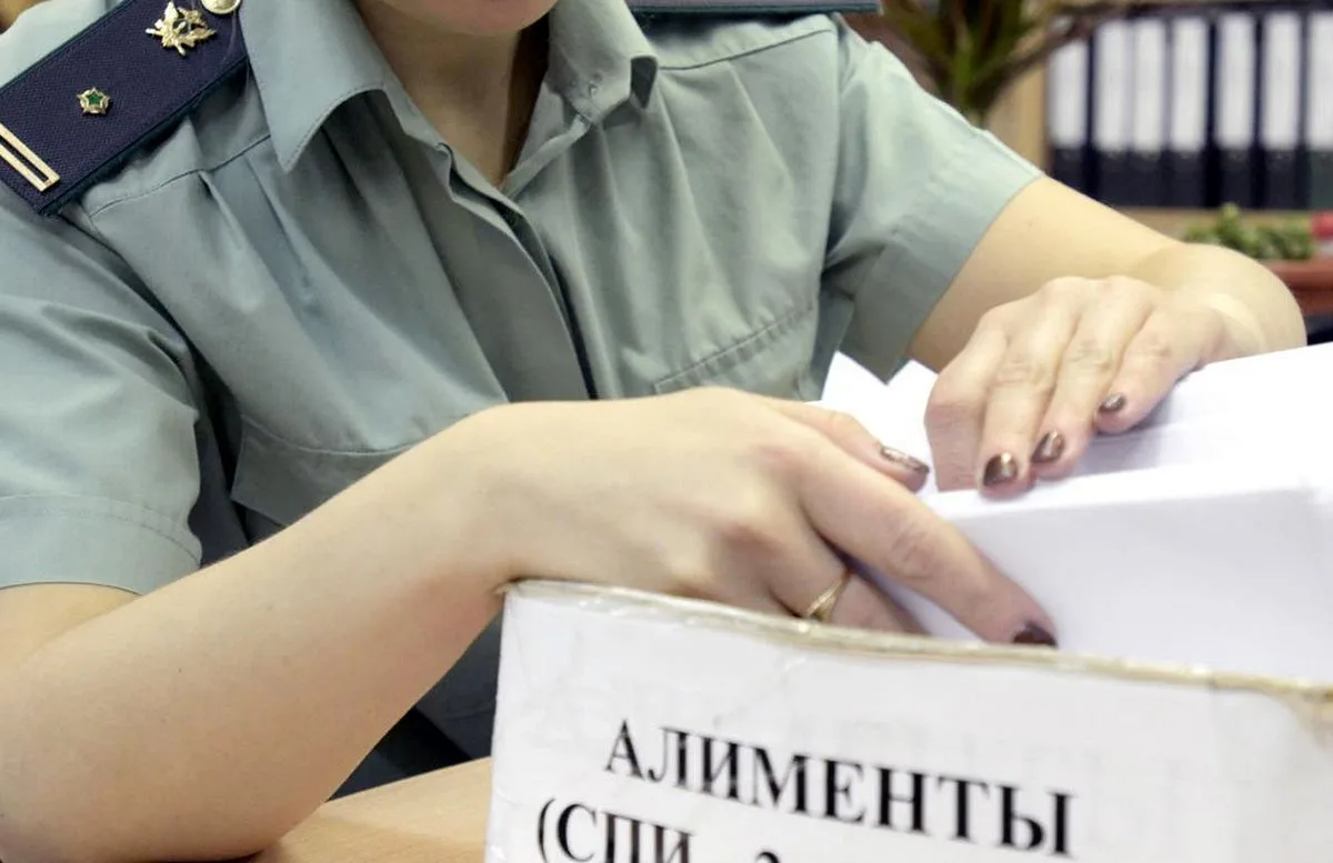 В Томской области мать накопила долг по алиментам более шести миллионов рублей.