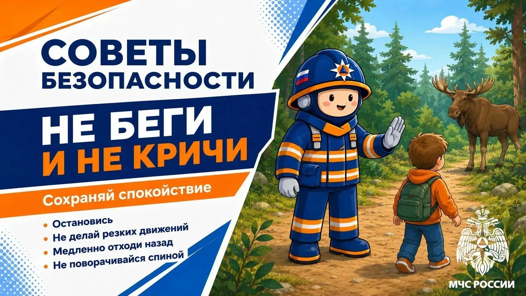 Встретил дикое животное? Главное — не паниковать
