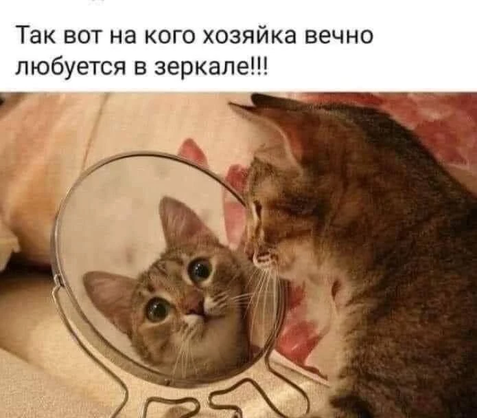 🐆 именно так, и никак иначе