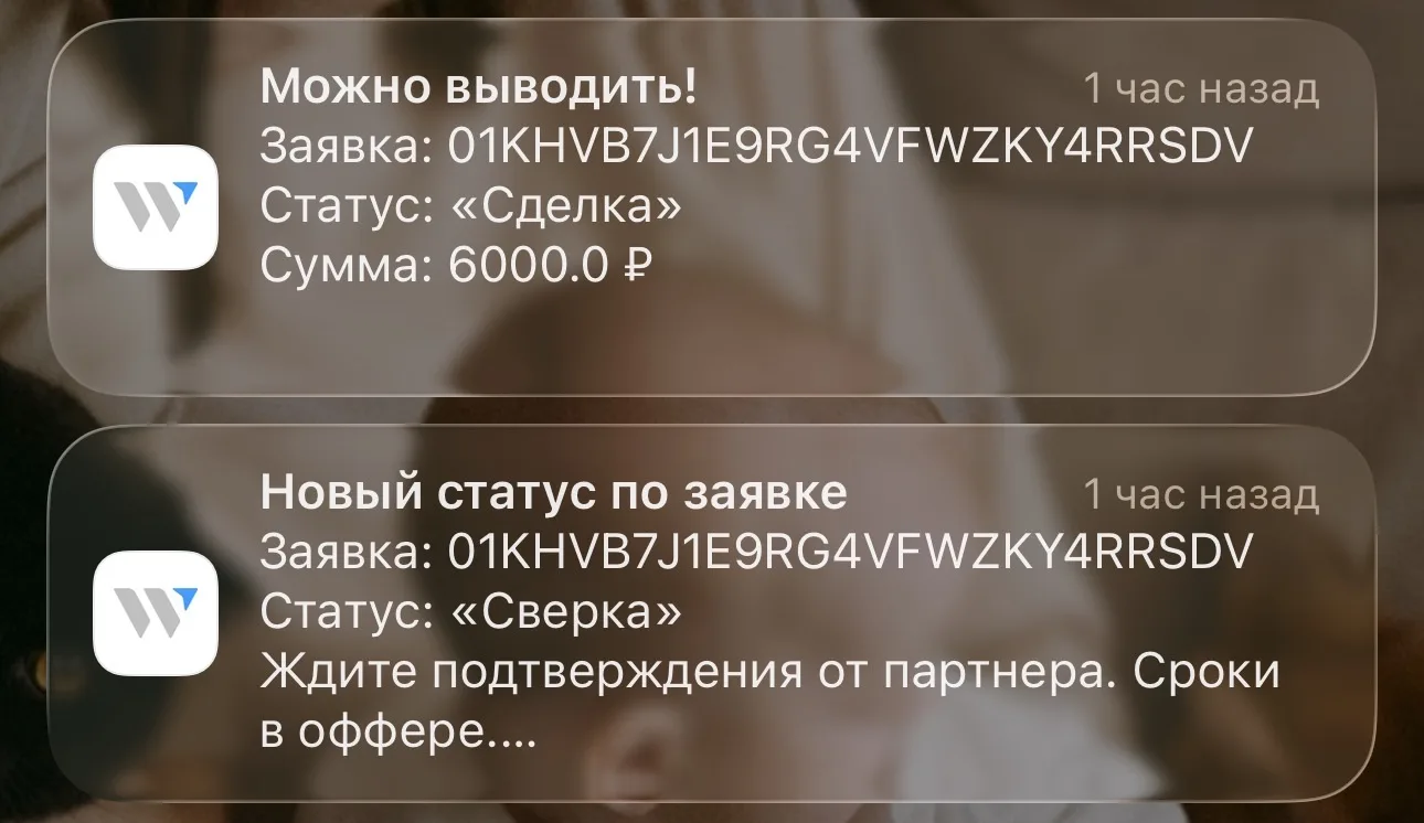 Такие уведомления мы уважаем. 6к за одну ссылку