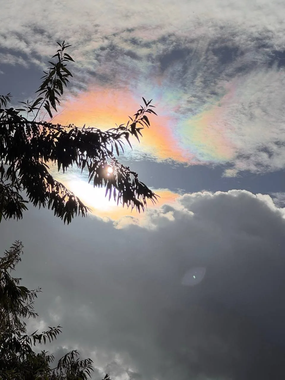 🌈Необычные радужные облака заметили над Питером.