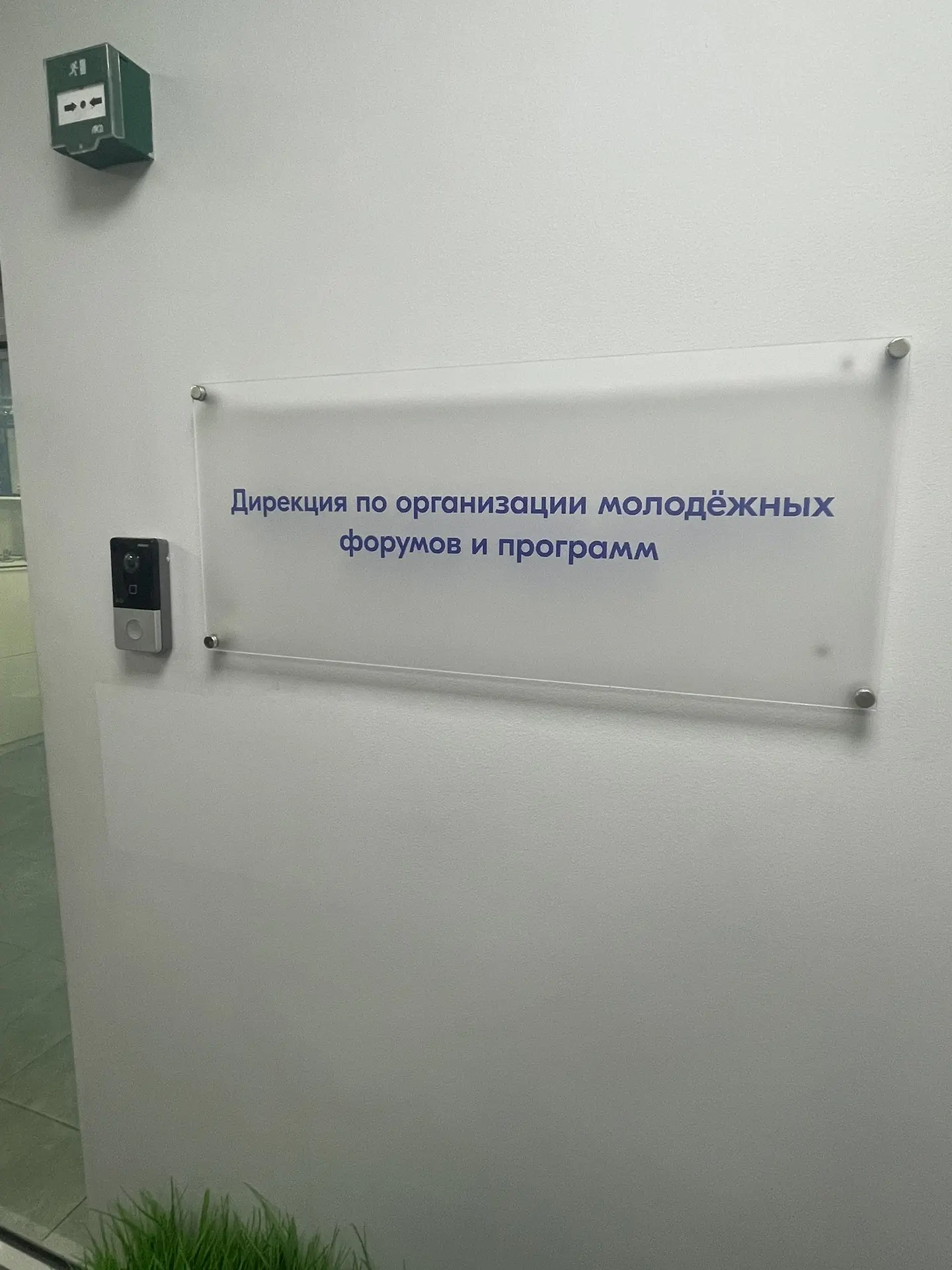 Я на стажировке в Форумной дирекции Росмолодёжи — в Управлении специальных проектов.