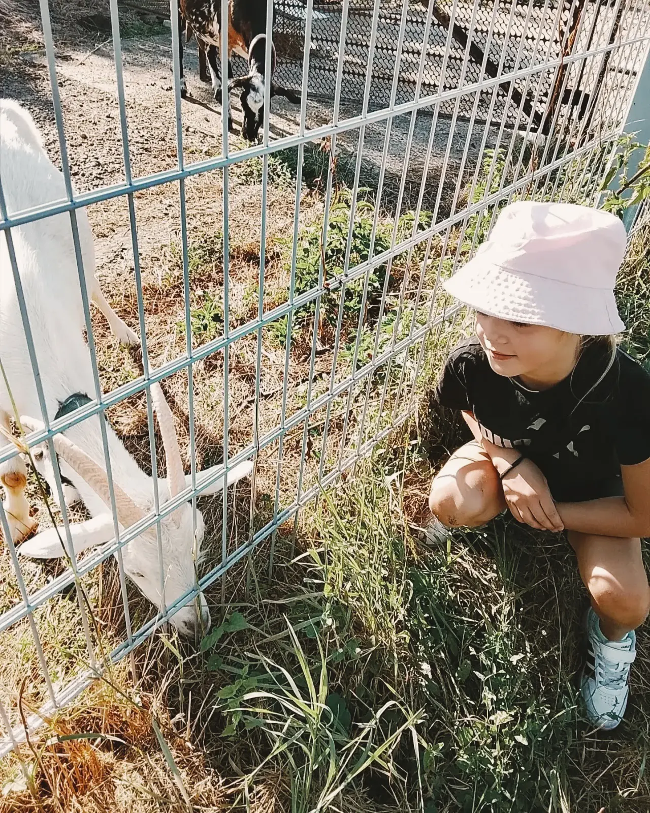 Дневник каникул ☀️