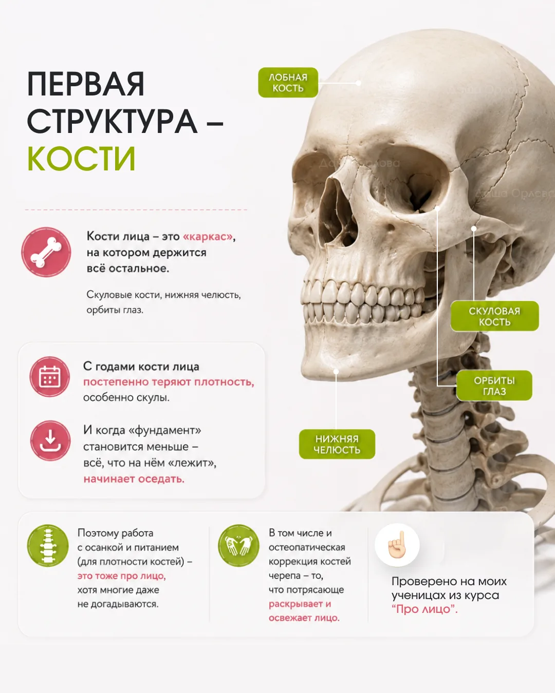 🤔 ПОЧЕМУ ОПЛЫВАЕТ ОВАЛ? 3 ЧЕСТНЫЕ ПРИЧИНЫ

В прошлом посте я рассказала, что не уходом за кожей еди