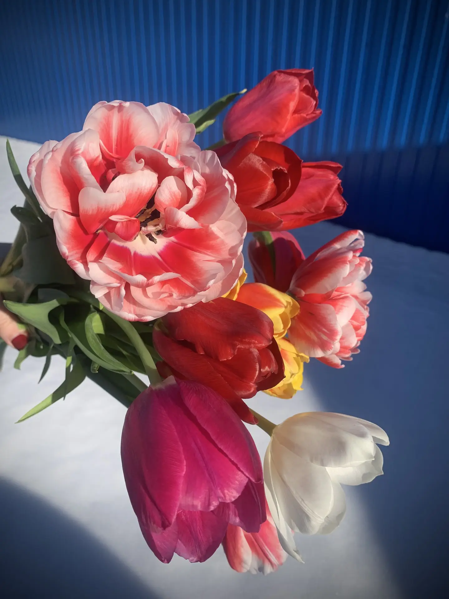 Дорогие женщины!🌹